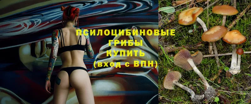 kraken маркетплейс  купить наркоту  мориарти клад  Галлюциногенные грибы Cubensis  Надым 